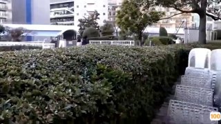 被赶出家门寂寞地颤抖着的邻居的妻子偷偷地持续着性交的日子…。。 花狩まい